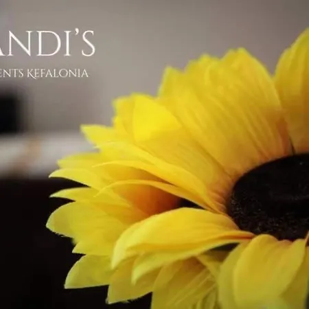 Mandis - Aggelos 1st Floor Karavádhos